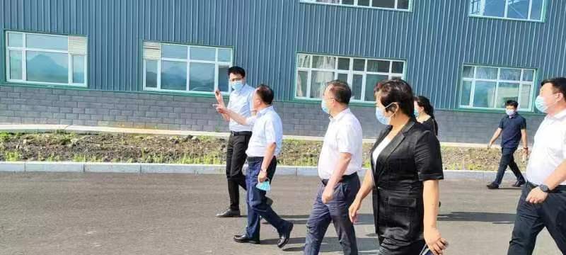 市政府主要領(lǐng)導(dǎo)魯長(zhǎng)友、關(guān)集雙深入企業(yè)調(diào)研工作(圖2)